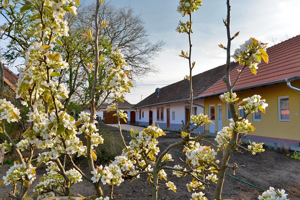 Отель Rigofuetty Vendeghaz Tiszaalpar Экстерьер фото